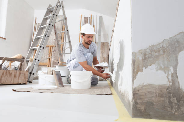 Best Water-Damaged Drywall Repair  in Laingsburg, MI